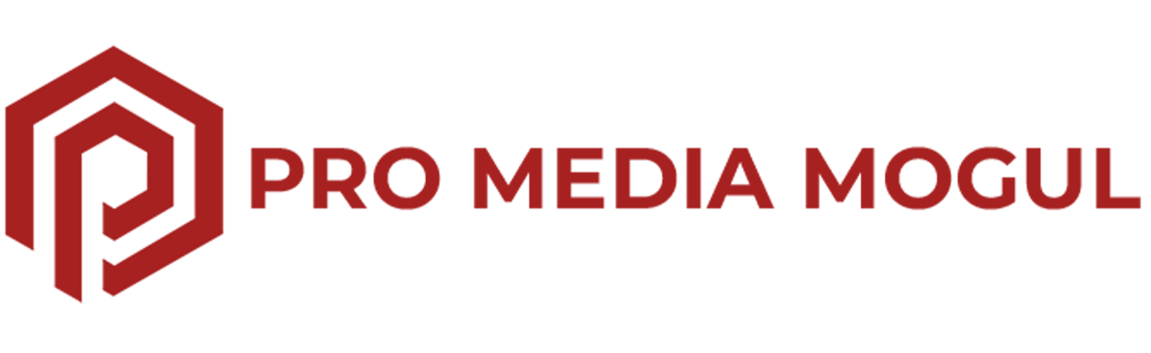 Pro Media Mogul